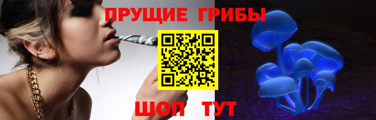 Чебоксары  Псилоцибиновые грибы Psilocybine cubensis  купить наркоту  Вход с VPN 
